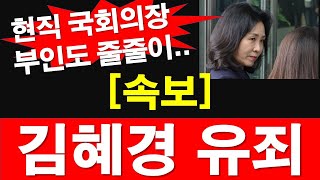 속보 경기도 법카 유용 김혜경 유죄 벌금 150만 원 현직 국회의장 부인도 줄줄이 레지스탕스TV 정광용TV [upl. by Cooke]