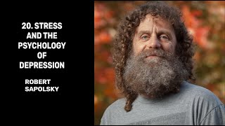 20 Stress and the Psychology of Depression  Robert Sapolsky [upl. by Teryn594]