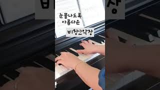 베토벤 비창2악장 비창 피아노연주 베토벤소나타 건반의마술사 조성진 [upl. by Rossy]