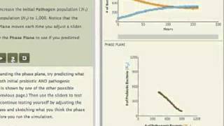 Competition Chapter in SimUText Ecology [upl. by Lenrad]