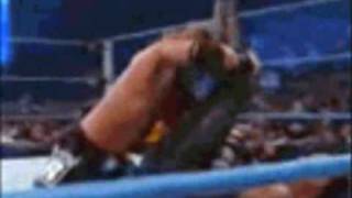 Top 10 WWE Finishers Of 20082009 [upl. by Enerol]