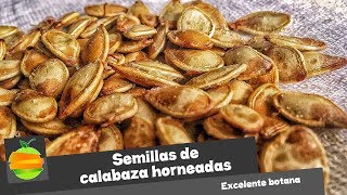 ¿Cómo hacer con las semillas de calabaza una increíble botana Recetas Thanksgiving [upl. by Watts]