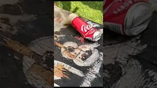 Chacos Vs CocaCola knife ninja ninjaweapons samurai viralvideo cuchillos blade knives [upl. by Lienhard]