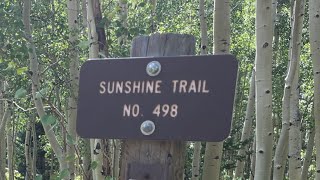 SUNSHINE T35 TRAIL IN TELLURIDE COLORADO [upl. by Yttik577]