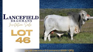 Lot 46 Lancefield S Copperfield 65591 PS [upl. by Mirabelle]