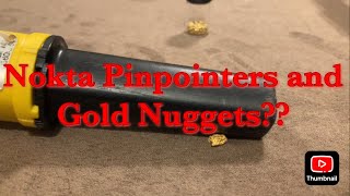 Nokta Pinpointers and Gold Nuggets  Testing [upl. by Shelley]