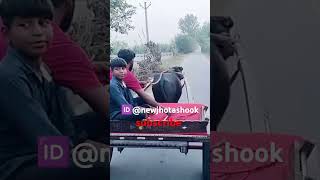 katda masti ma bhag ra haiNewjhotashook [upl. by Nolana]