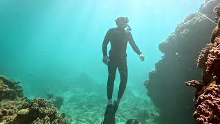 WEST COAST MAGIC Ningaloo reef magic and Yardie creek [upl. by Hollis]