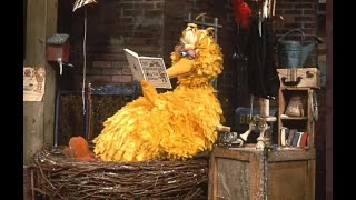 Vintage Sesame Street  Episode 30 Granny Bird Visits 1969 [upl. by Benetta]