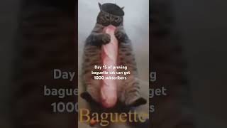 Baguette cat Day 15 [upl. by Agnella]