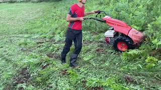 24 CUTTING WITH AGRIA MOWER  TAGLIO CON FALCIATRICE AGRIA [upl. by Fredia996]