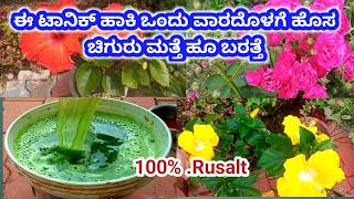 ಈ ಟಾನಿಕ್ ಹಾಕಿದ ಒಂದು ವಾರದೊಳಗೆ ಹೊಸ ಚಿಗುರು ಬರತ್ತೆ  best organic fertilizer for plant [upl. by Ahsiyk]