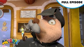 The Great Mole Detective  Full Episode  Moley [upl. by Enilesor]