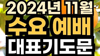 수요예배기도문 예문ㅣ 11월 1주 수요기도문 ㅣ 11월 첫째주 대표기도ㅣ 대표기도가 어려운분들을 위한 기도예시문ㅣ 2024년 예배대표기도문 [upl. by Cleve]