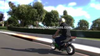 Pocket Bike Mini Bikes Pocketbikes  X19 110cc Superbike [upl. by Priebe]