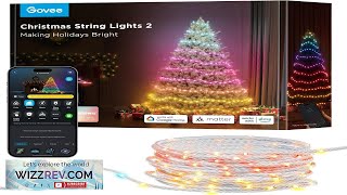 Govee Christmas Lights 2 RGBWIC 99FT 300LEDs Christmas Tree Lights with Shape Review [upl. by Girovard]