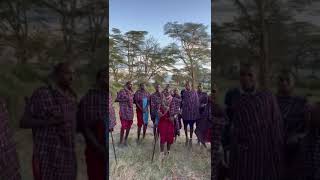 Kimana Sanctuary singing Morans moments  Masai to the world 🌍 [upl. by Drofliw]