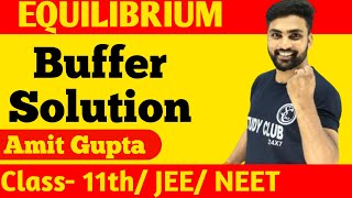 Buffer Solution  Buffer Solution Class 11 Chemistry  Buffer Solution In Hindi  Amit Gupta  NEET [upl. by Haidebej424]