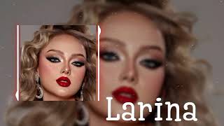 Larina Remix 2024  Emotional Depth by Niko Sands  Original Track by Larina [upl. by Eissirhc]