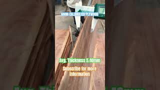 6MM CALIBRATED PLYWOOD plywood knowledge pankajsharma shorts calibrate plyboard doors 100k [upl. by Anilejna]