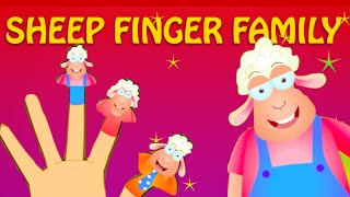 Sheep Finger Family  Finger Family Rhymes For Children [upl. by Ade]