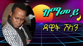 Lyrics  ዳዊት ሽላን  ዝማመይ  Dawit Shlan  Zmamey Old Tigrigna Love Song [upl. by Oilejor]