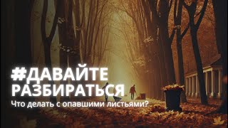 ДавайтеРазбираться Что делать с опавшими листьями [upl. by Nohcim318]