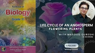 Life Cycle of an Angiosperm  Grade 11  biology  Urdu Hindi English  Federal Board Pakistan [upl. by Ornie369]