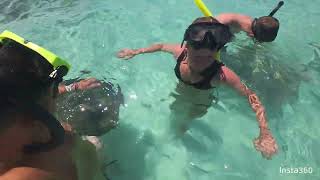 swimming with stingrays in stingray City Antigua [upl. by Brodie]