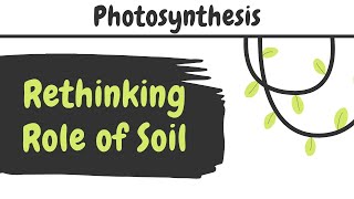 Rethinking the Role of Soil ¦ Van Helmonts Experiment ¦ Life Sciences for Common Man [upl. by Nybor]