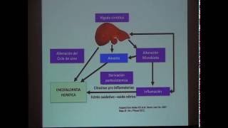 Encefalopatía hepática [upl. by Airt]