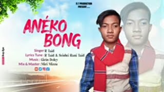 Anéko Bong new mising song 2024 [upl. by Artinek]