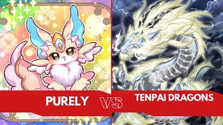 YuGiOh Locals Live Duel Tenpai Dragons VS Purely [upl. by Eniretak433]