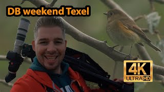 De Mooiste en Zeldzaamste vogels van het Dutch Birding Vogelweekend Texel 2023 [upl. by Llenart]