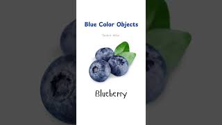 Blue Color Objects  Contoh Benda bewarna biru 1 blueobjects bluestuff bendabiru [upl. by Emmi]