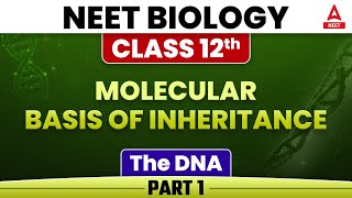 Molecular Basis Of Inheritance  The DNA  Part 1  Class 12NEET Biology Chapter 6 [upl. by Wilser]