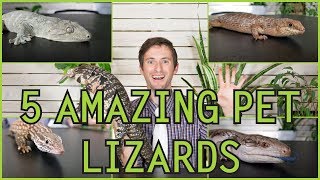 Five of the Best Pet Lizards You Could Possibly Get [upl. by Pavyer215]