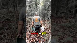 Hidden Gold Your Ultimate Guide to Finding Prospecting Hotspots fyp shorts goldprospecting [upl. by Franz]