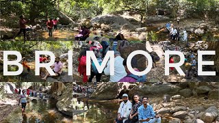 BRIMORE  LIC OFFICIALS DAY OUT  TRIVANDRUM  KERALA TOURISM INCREDIBLE KERALA exploreWILD dji [upl. by Adnauqaj]