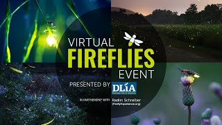 Virtual Fireflies Event presented by Discover Life in America [upl. by Lalittah]