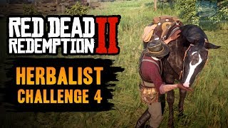 Red Dead Redemption 2 Herbalist Challenge 4 Guide  Pick 5 mushrooms and feed them to your horse [upl. by Rehsa]