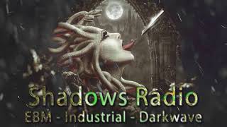 EBM Music Mix  Goth Industrial  Dark Electro  Synthwave [upl. by Snapp198]