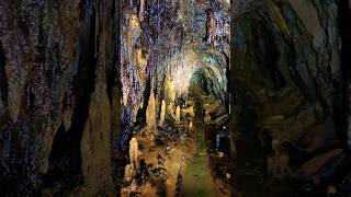 Incredible Mineral Formations 130 year old abandoned gold mine mines abandonedmines minerals [upl. by Hamon]