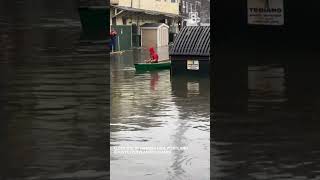 Portland flooding Harbor fish [upl. by Acir]