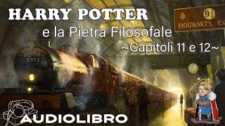 Harry Potter e la pietra filosofale  Audiolibro  Lettura e commento Cap 11  12 [upl. by Myron263]