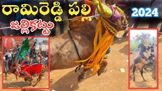 Rami Reddy Palli Jallikattu 🐂  2024 Traditional Chittoor Jallikattu  రామిరెడ్డి పల్లి జల్లికట్టు 🤯 [upl. by Trillbee]