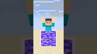 MYSTERY BEDROCK  Aircraft Edition minecraft shorts animation [upl. by Gilletta]