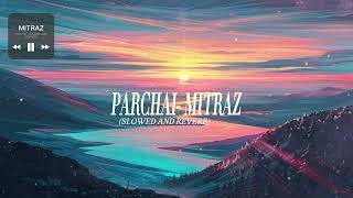 MITRAZ  PARCHAI  Slowed amp Reverd  Lofi beat sinister [upl. by Lalittah219]