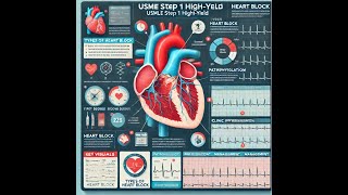 From FirstDegree to ThirdDegree All About Heart BlockHIGH YIELD USMLE STEP 1 [upl. by Nuavahs]