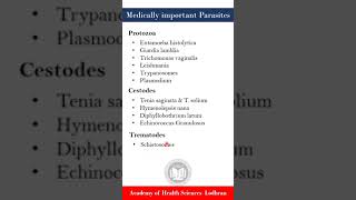 Important Parasites  Medical Parasitology  by Imran Yaseen [upl. by Hosfmann]